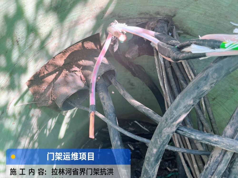 图片2.jpg 图片2.jpg